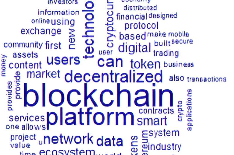 Modified information ratio reveals network effects behind long-term initial coin offering success